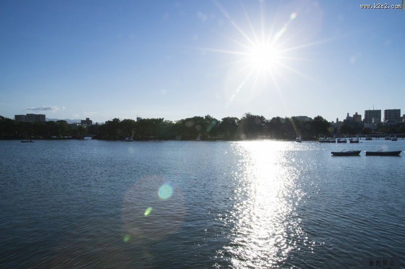 耀眼的太阳光图片