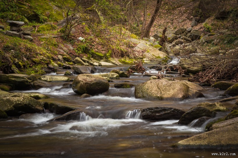 森林小溪山间流水图片