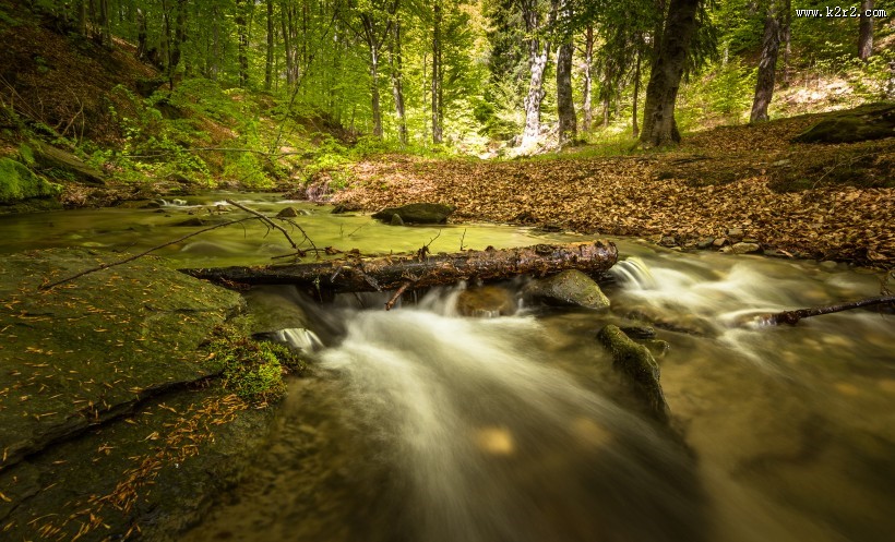 森林小溪山间流水图片