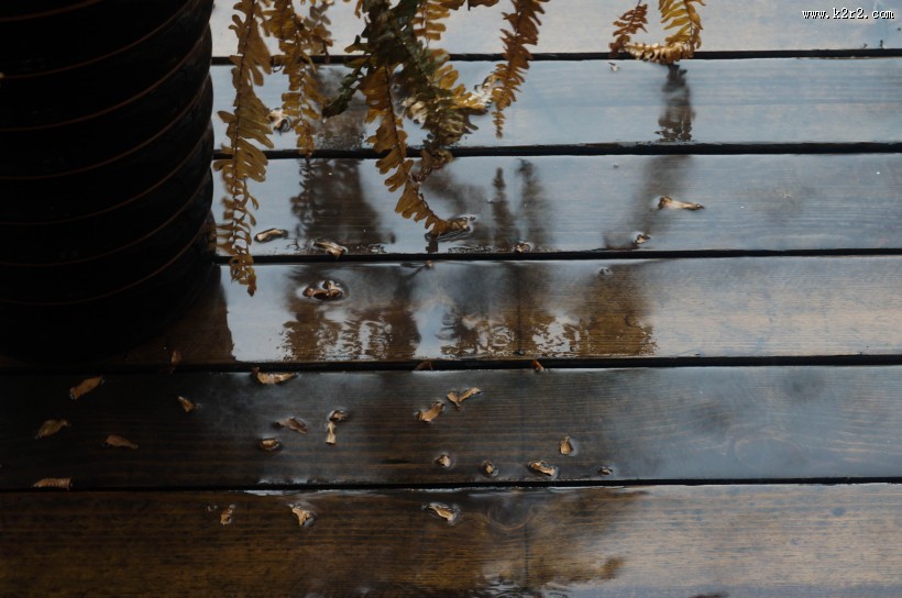 唯美的下雨天图片