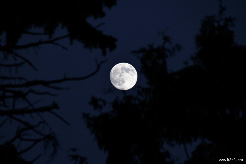 圆圆的月亮图片