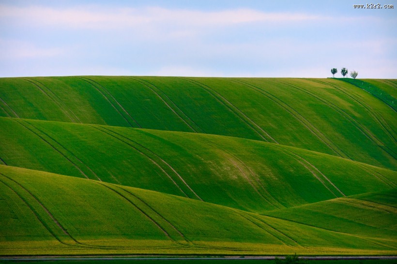 一望无际的草地图片