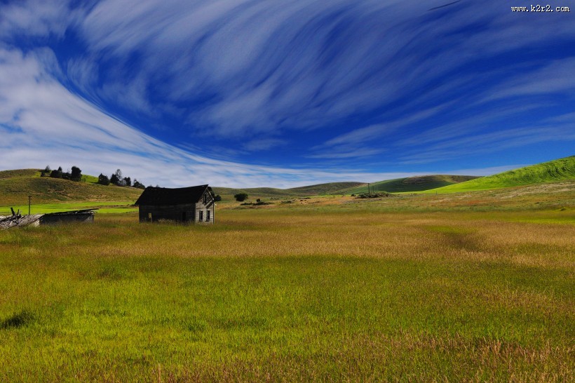 一望无际的草地图片