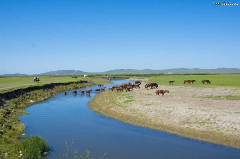 唯美的草原蓝色天空图片