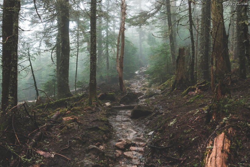 山林中的小路图片