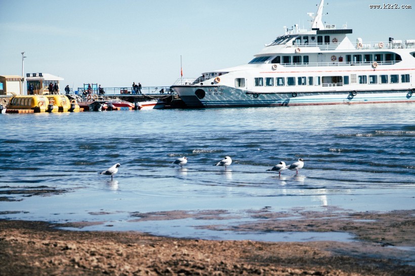 唯美滩涂风景图片