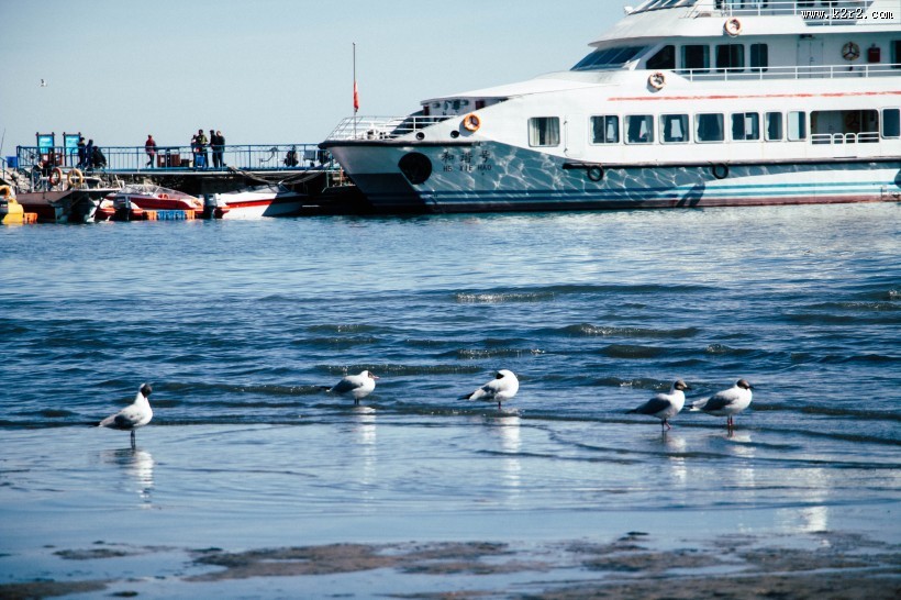 唯美滩涂风景图片