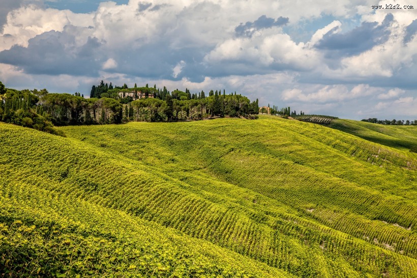 优美的梯田图片