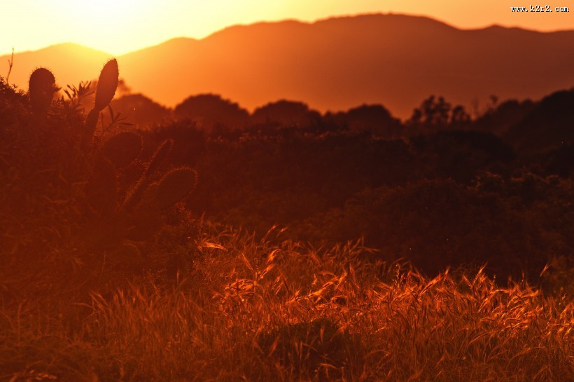 日落时的美丽风景图片大全