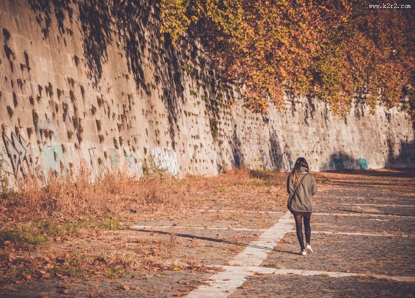 满地秋天落叶图片