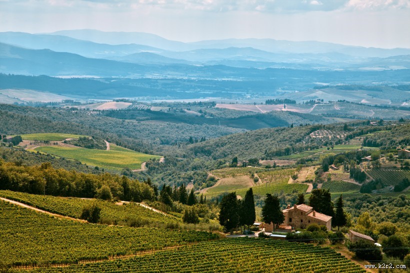 美丽的葡萄庄园图片