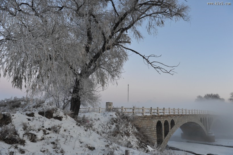 唯美的雾凇图片大全