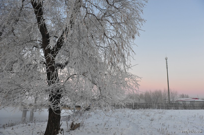 唯美的雾凇图片大全