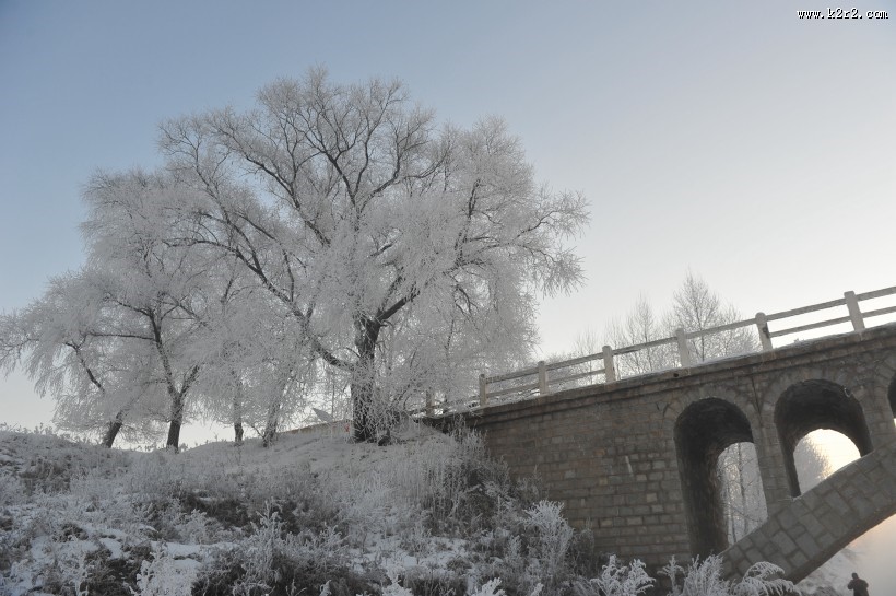 唯美的雾凇图片大全