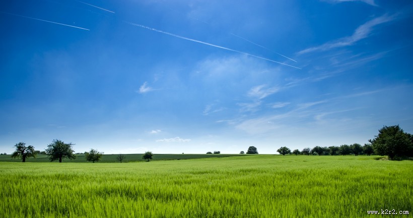 蓝天下的田野图片