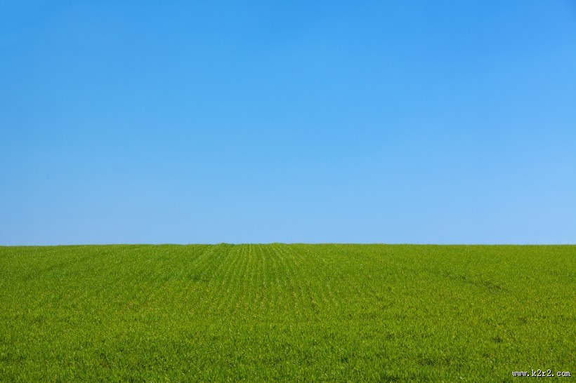 蓝天下的田野图片