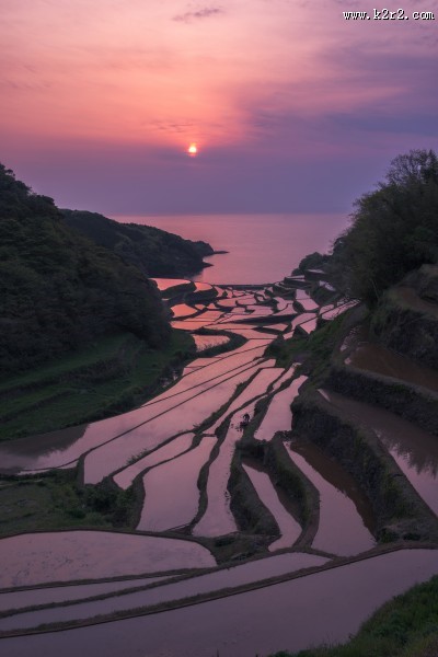 壮观美丽的梯田图片