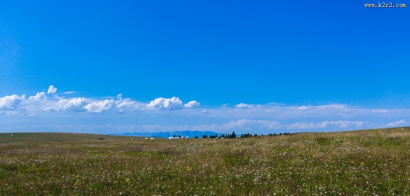 一望无际的绿色草原图片