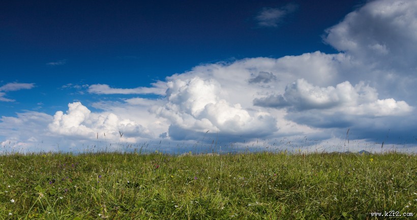 一望无际的绿色草原图片