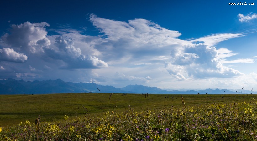 一望无际的绿色草原图片