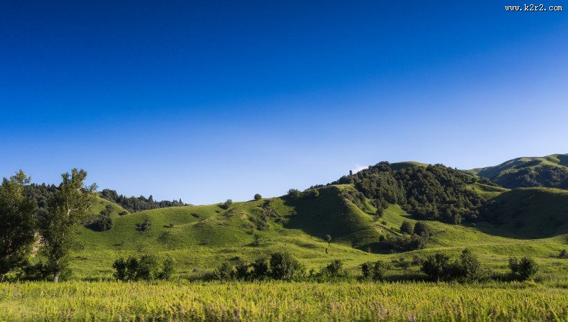 一望无际的绿色草原图片