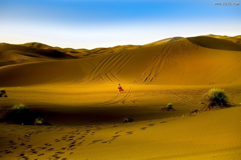 沙漠风景图片大全