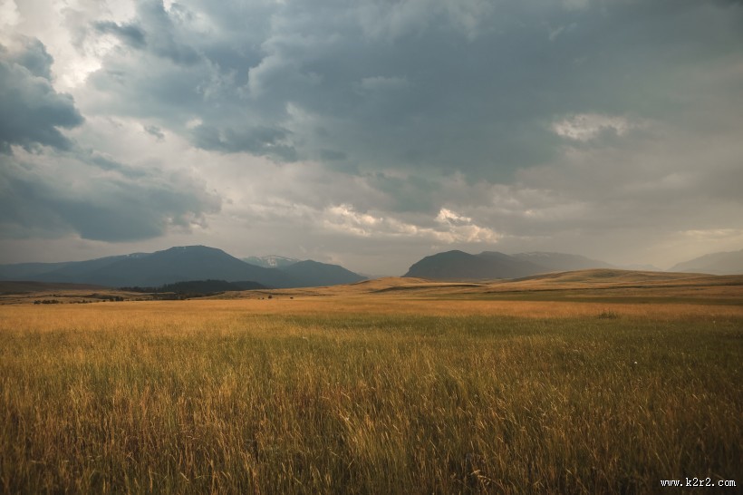 广阔的草原图片大全
