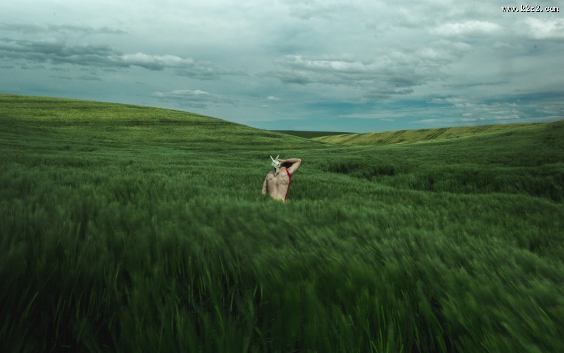广阔的草原图片大全