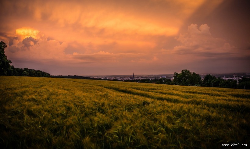 广阔的草原图片大全