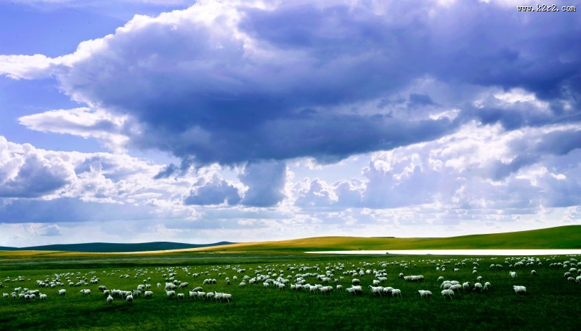 一望无际的大草原图片大全