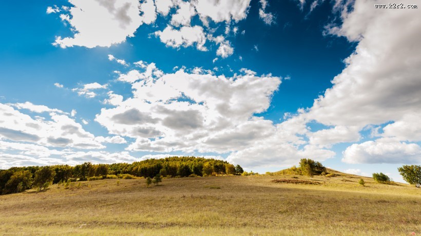 一望无际的大草原图片大全
