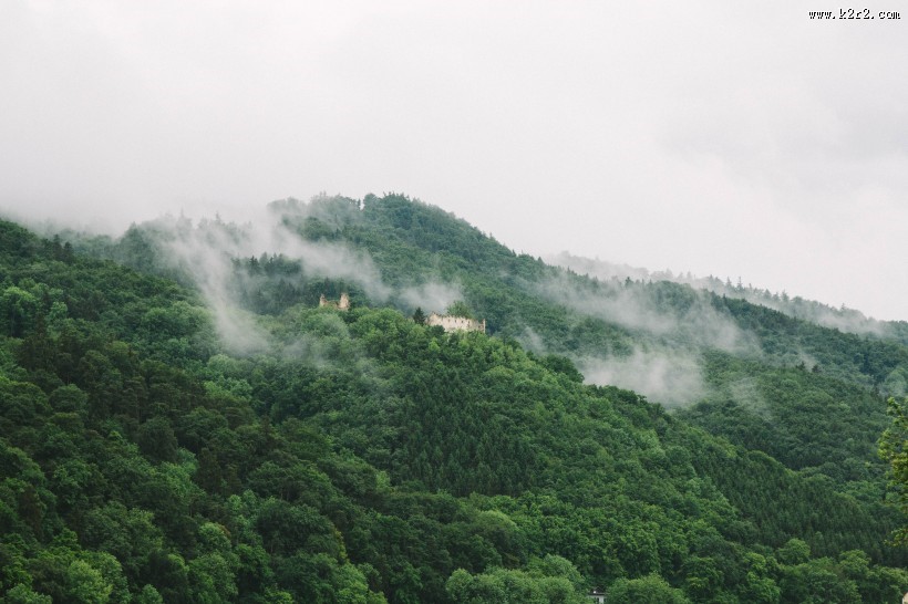雾气缭绕的森林图片