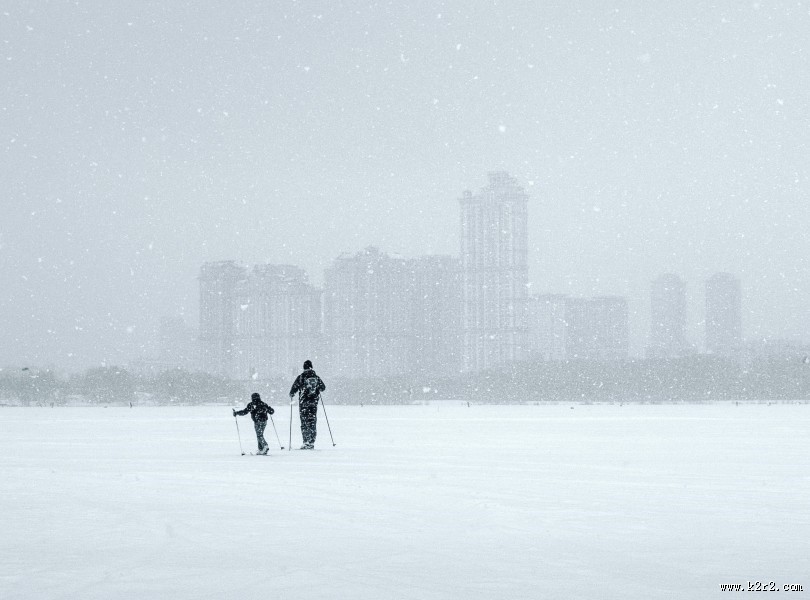 皎洁的雪花图片
