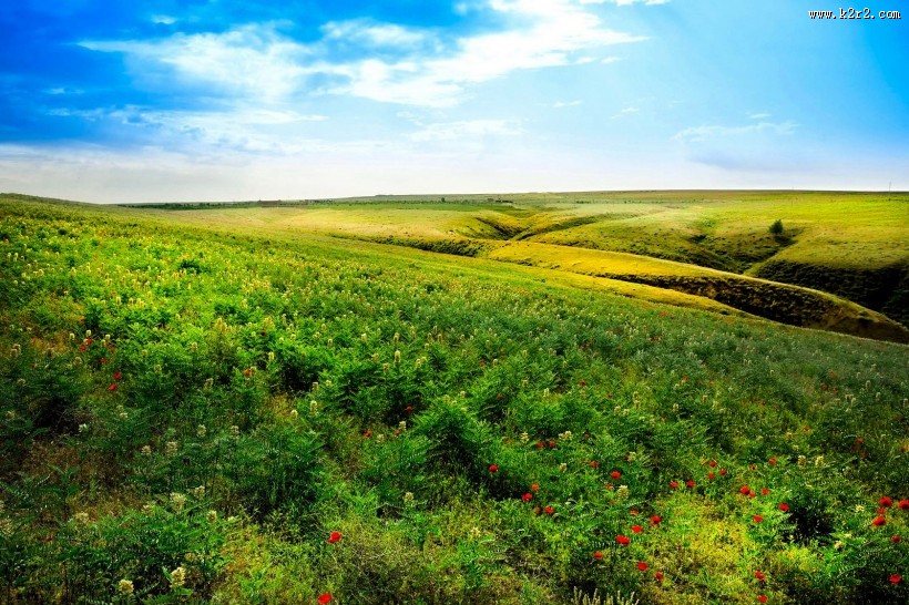 春天的草原风景图片