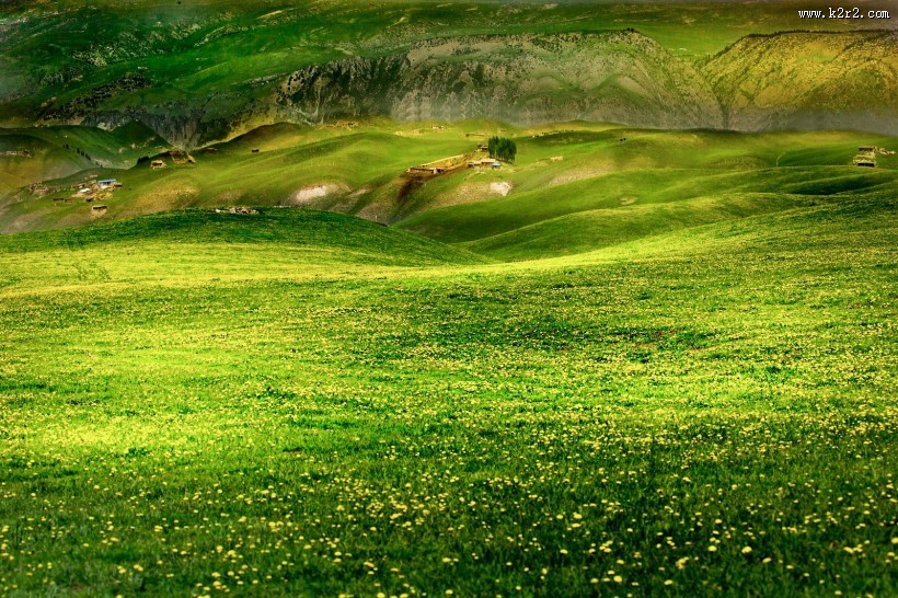 春天的草原风景图片