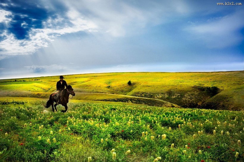 春天的草原风景图片