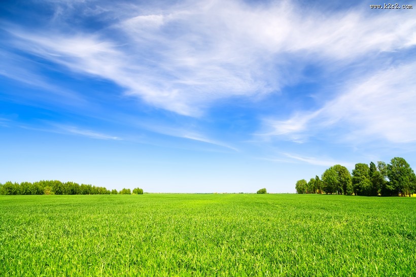 蓝天白云草地图片