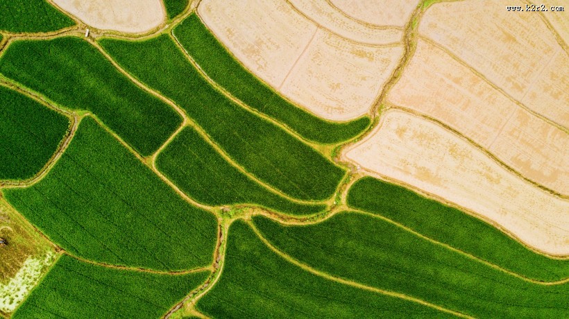乡村田野风景图片