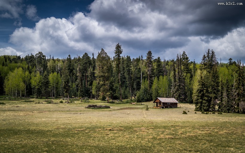 美丽的田野图片