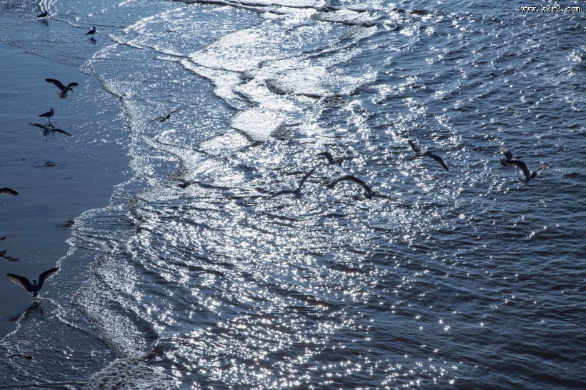 大海风景图片大全