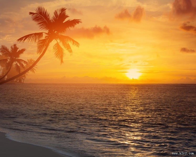 海滩椰树风景图片