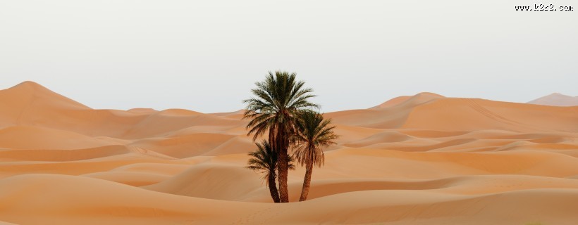 美丽的沙漠风景图片