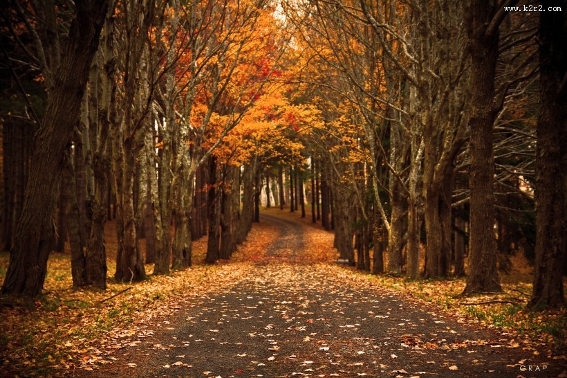 秋日美景风景图片