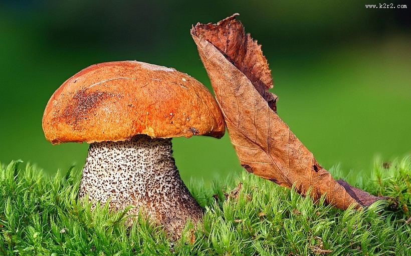 秋日美景风景图片