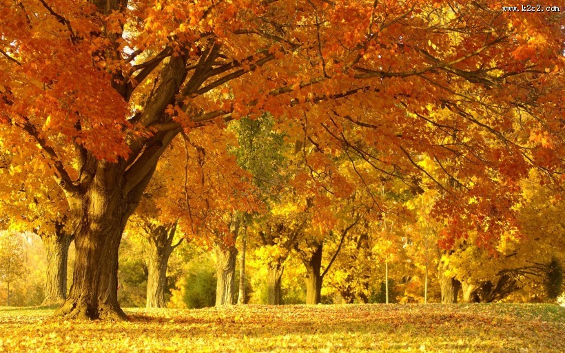 秋日美景风景图片