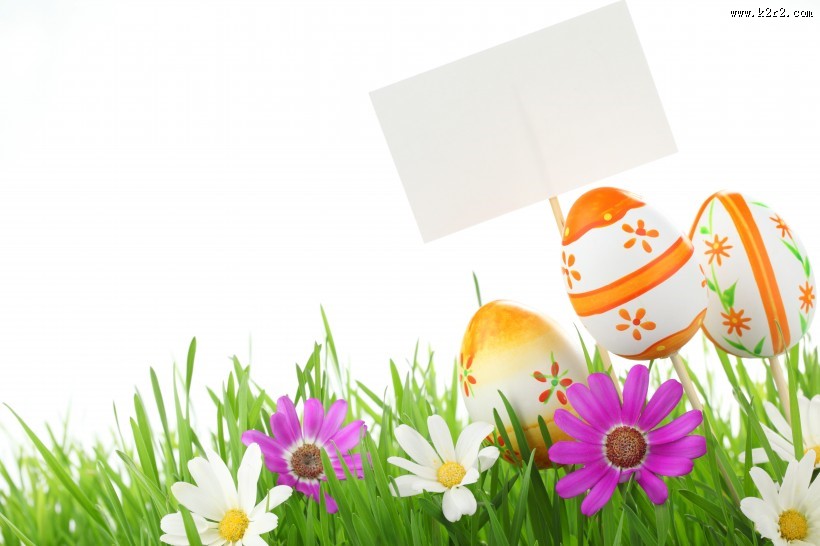 绿色草地和鸡蛋图片