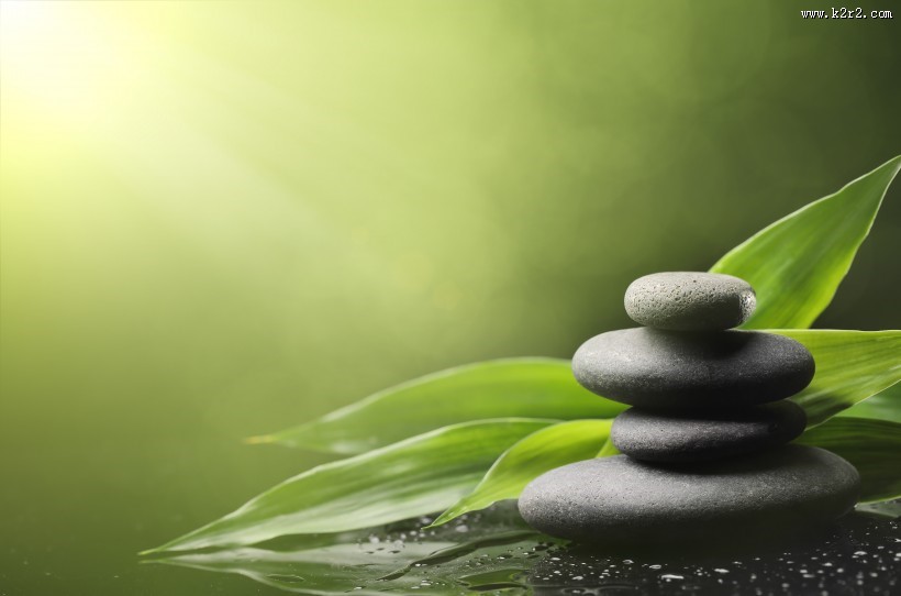 竹子石头景观图片