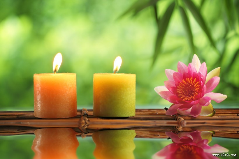 竹子石头景观图片