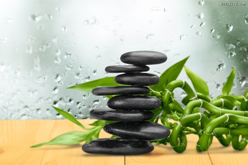 竹子石头景观图片