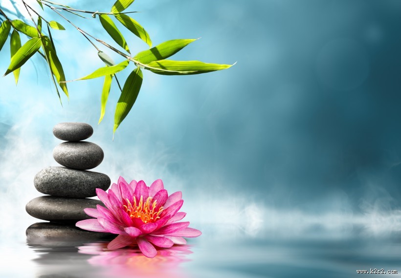 竹子石头景观图片